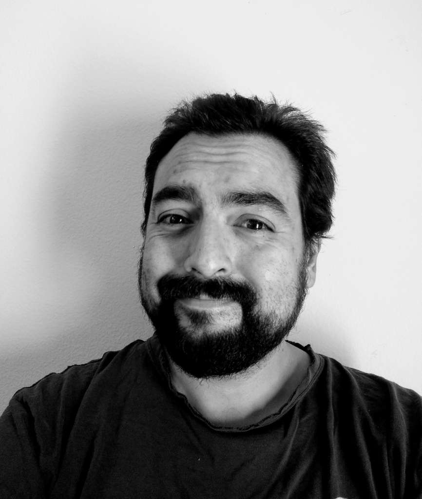 bestwpdeveloper